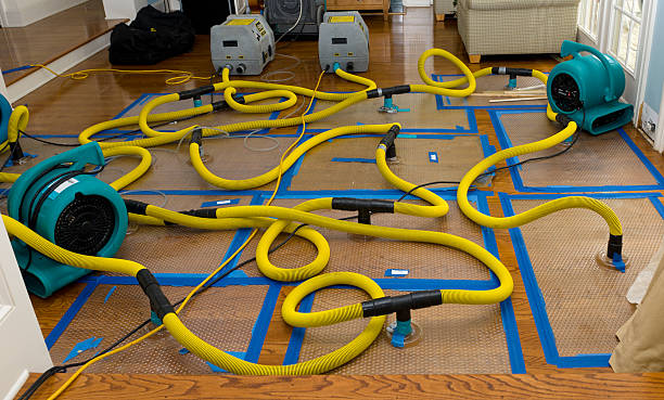 Professional Structural Drying And Dehumidification technician working in West Nyack, NY